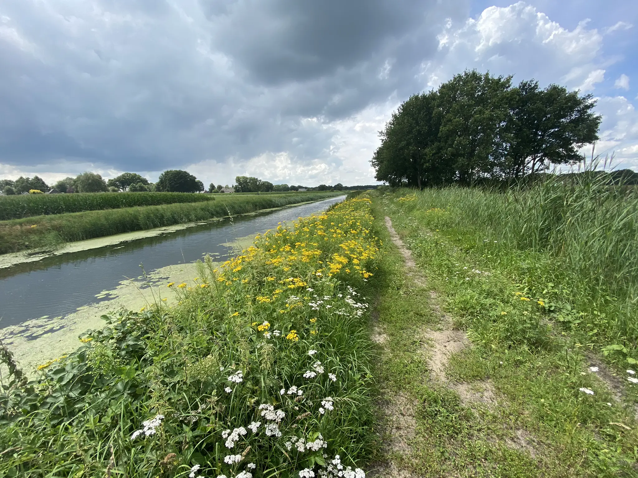 Mutsaars Gravelride 100 km